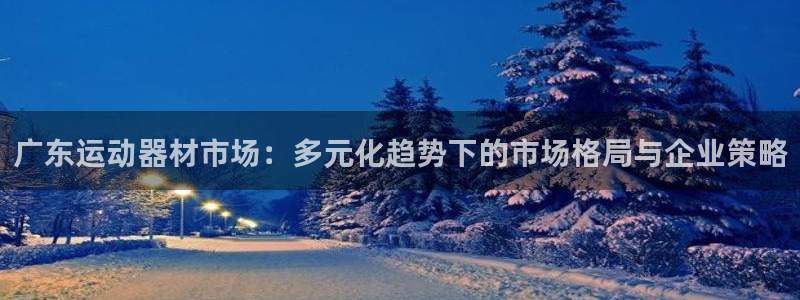 征途国际招商电话地址查询:广东运动器材市场:多元化趋势下的市