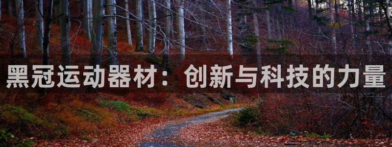 征途国际招商电话号码查询是多少:黑冠运动器材:创新与科技的力