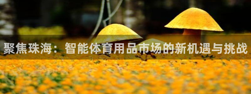 征途国际招商电话号码是多少:聚焦珠海:智能体育用品市场的新机